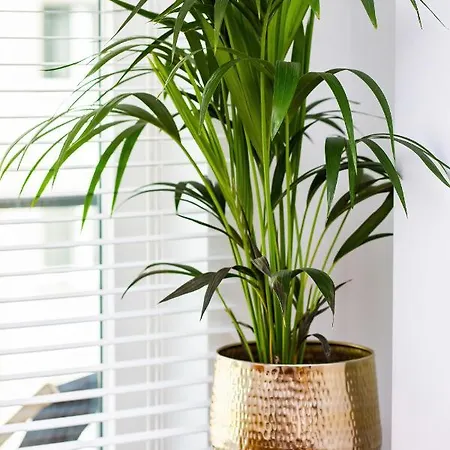 Sienna 65 Premium With Parking In By Renters Prestige *